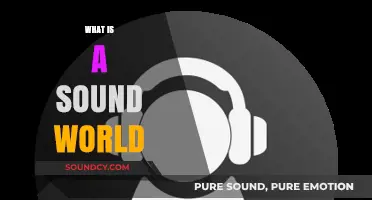 Exploring the Concept of a Sound World: Harmony, Balance, and Acoustic Ecology