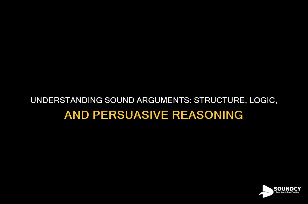 what is a sounda rgument