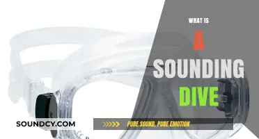 Exploring the Depths: Understanding the Basics of a Sounding Dive