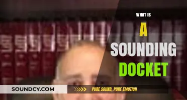 Understanding Sounding Dockets: Purpose, Process, and Legal Significance