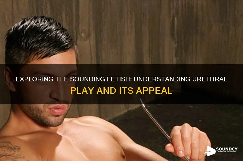 what is a sounding fetish