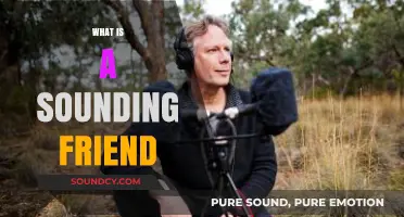 Understanding the Role of a Sounding Friend: A Guide to Supportive Listening