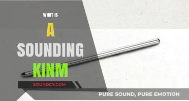 Understanding the Sounding Kinm: A Comprehensive Guide to Its Meaning