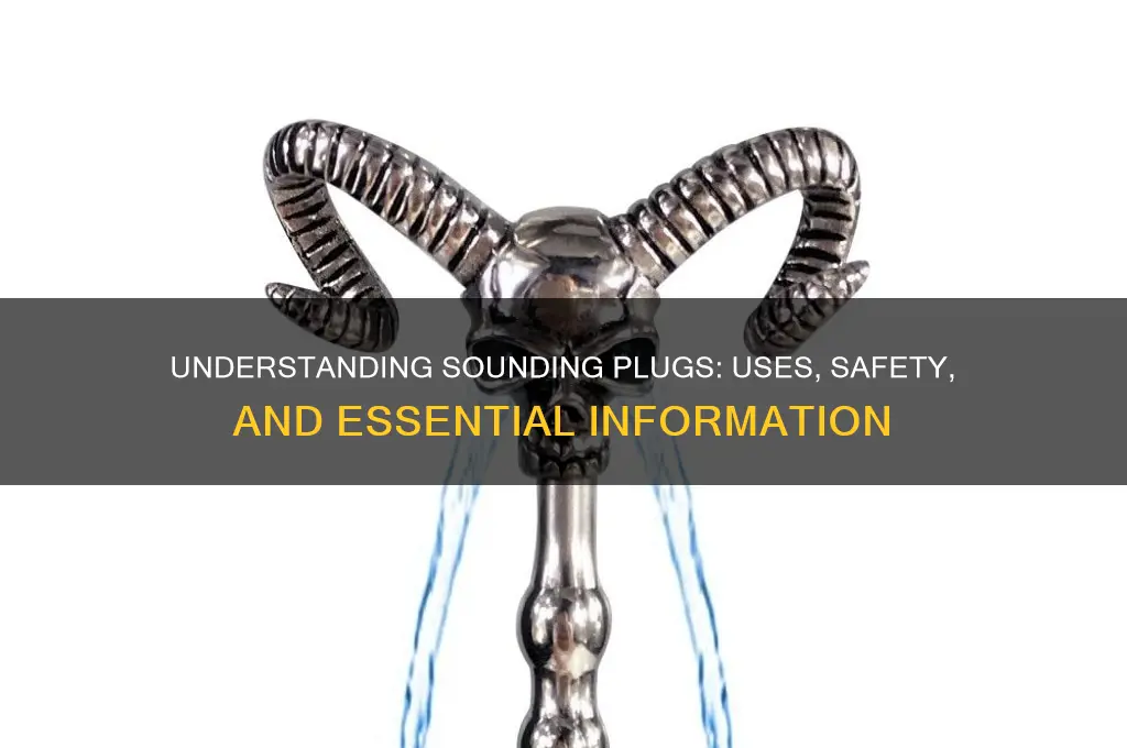 what is a sounding plug