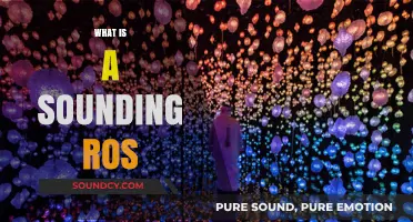 Understanding the Sounding Ros: A Comprehensive Guide to Its Uses and Benefits