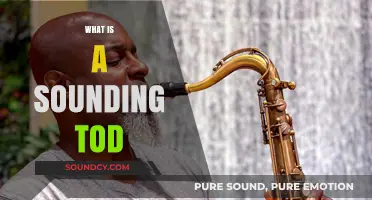 Understanding the Sounding Tod: A Comprehensive Guide to Its Meaning
