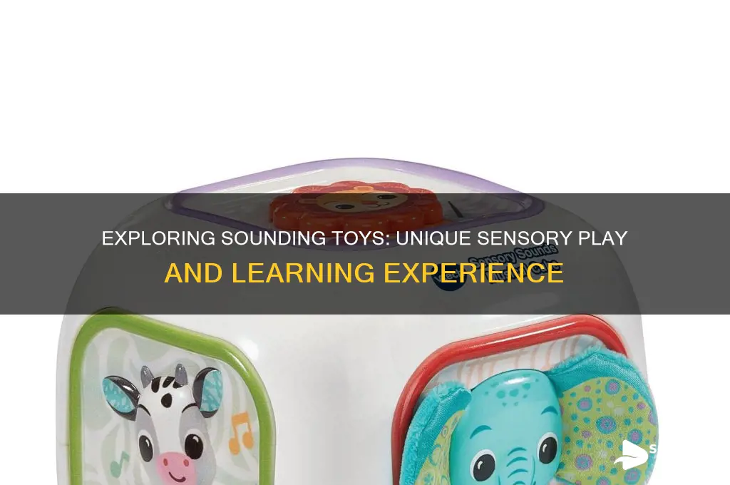 what is a sounding toy