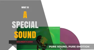 Unveiling the Mystery: What Makes a Sound Truly Special?