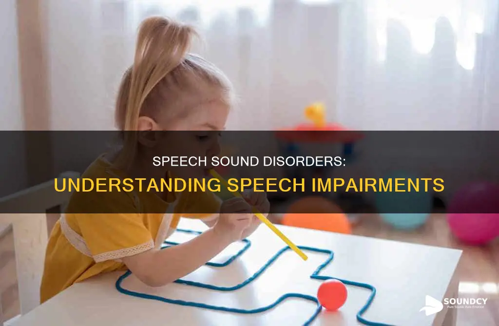 what is a speech sound disorder