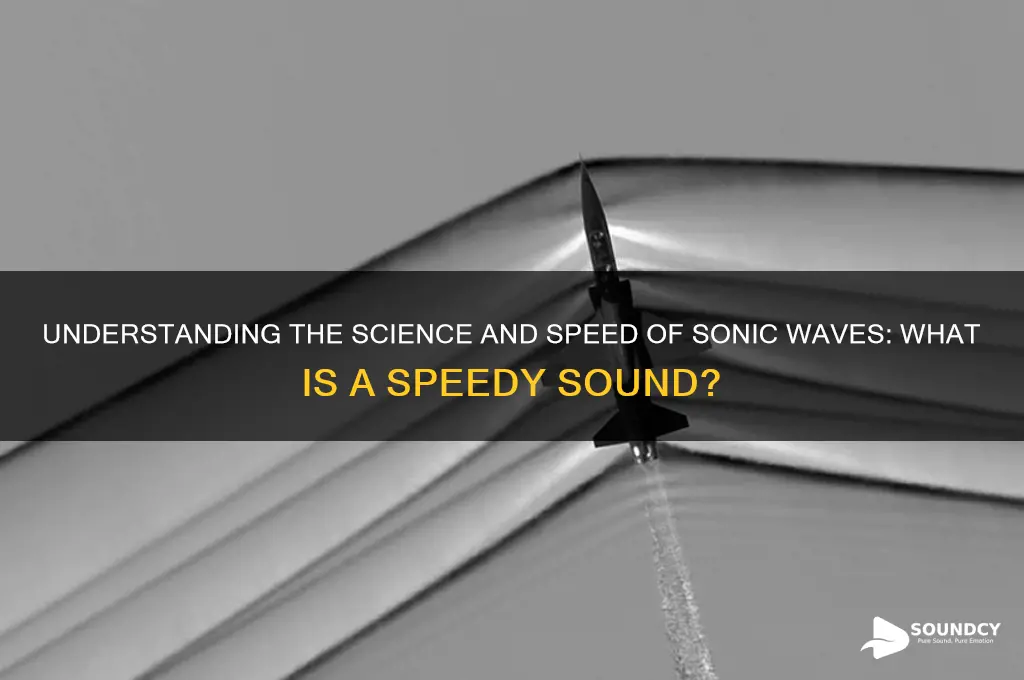 what is a speedy sound