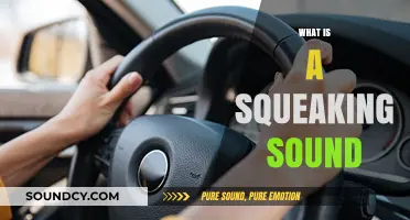 Unraveling the Mystery: What Causes That Annoying Squeaking Sound?