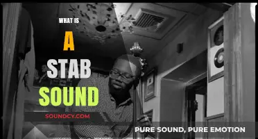Understanding the Stab Sound: Origins, Uses, and Impact in Music