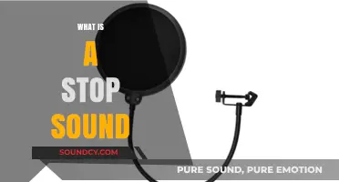 Understanding Stop Sounds: A Comprehensive Guide to Plosive Consonants