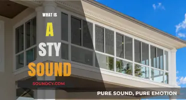 Understanding the Sty Sound: Causes, Effects, and How to Fix It