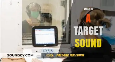 Understanding Target Sounds: Key Concepts and Applications in Audiology