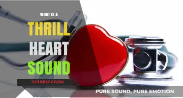 The Thrill of a Heart Sound Mystery