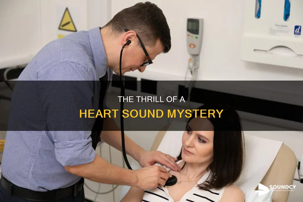what is a thrill heart sound