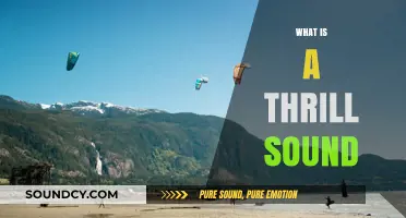 Unveiling the Mystery: What is a Thrill Sound and Why It Matters