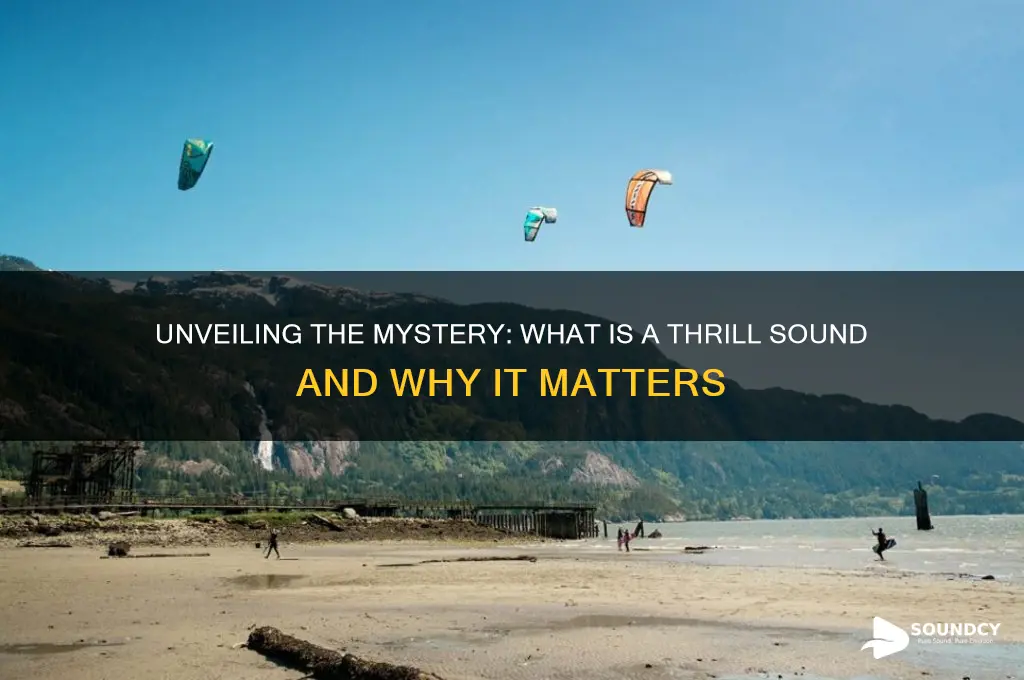 what is a thrill sound
