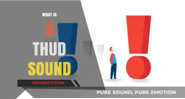 Understanding the Thud Sound: Causes, Examples, and Everyday Occurrences