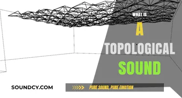 Exploring Topological Sound: Unveiling the Science Behind Acoustic Geometry