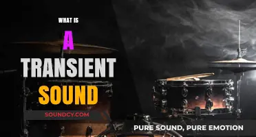 Understanding Transient Sounds: Definition, Characteristics, and Real-World Examples