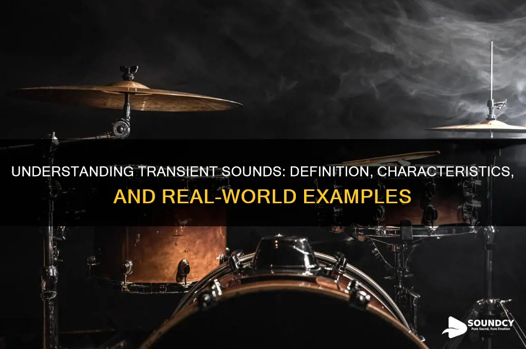 what is a transient sound