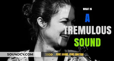 Understanding the Tremulous Sound: Definition, Causes, and Musical Applications