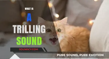Understanding the Enchanting Trilling Sound: Origins, Examples, and Significance