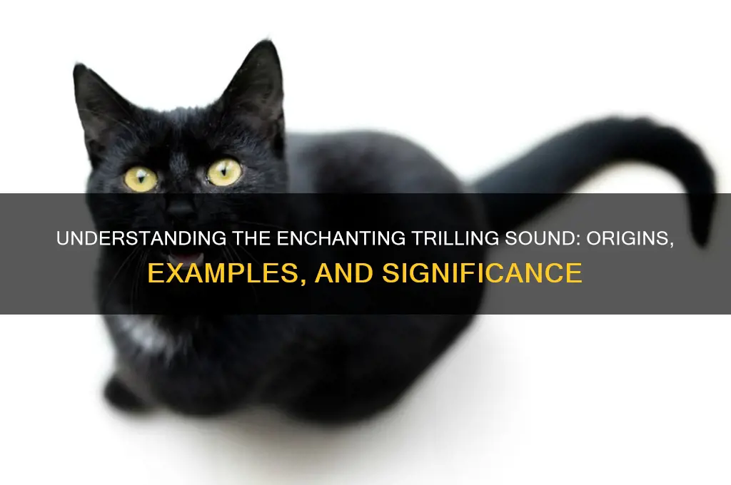 what is a trilling sound