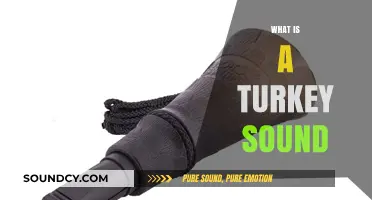 Gobble Talk: Understanding the Unique Sounds of Turkeys