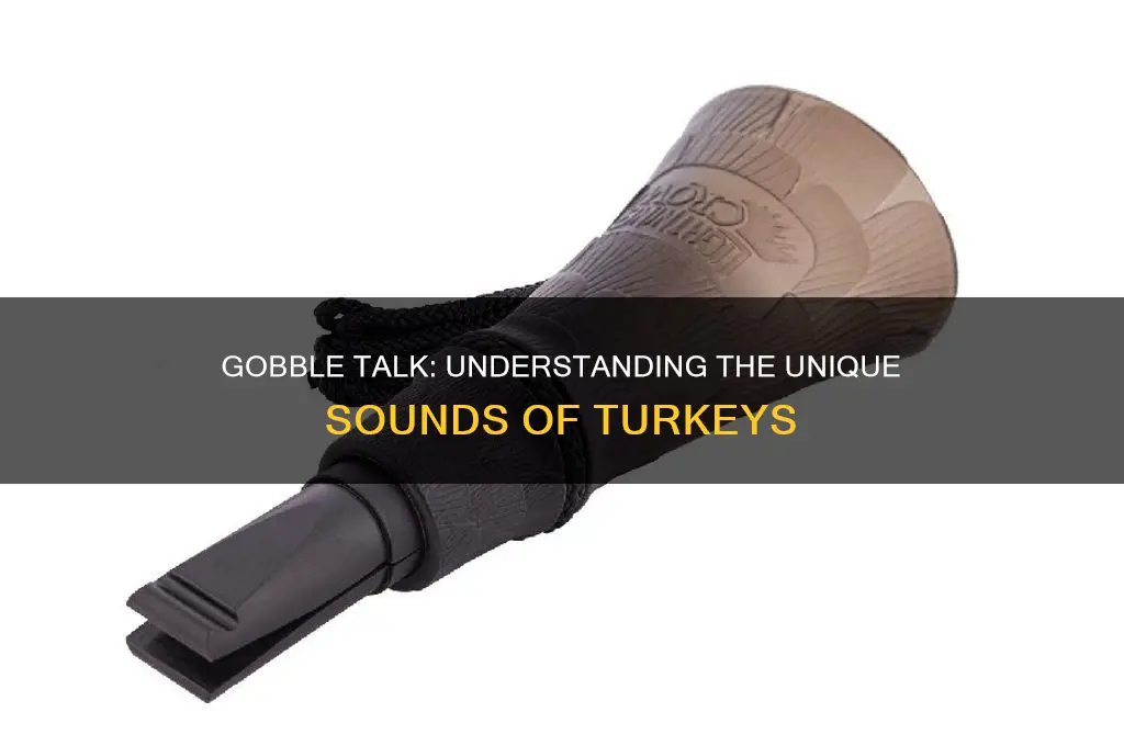 what is a turkey sound