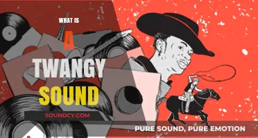 Understanding the Unique Twangy Sound: Origins, Instruments, and Musical Impact