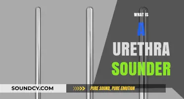 Understanding Urethral Sounding: What Is a Urethra Sounder?