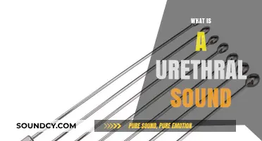 Understanding Urethral Sounds: A Comprehensive Guide to This Unique Practice