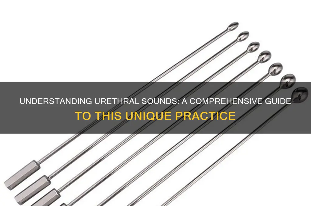 what is a urethral sound