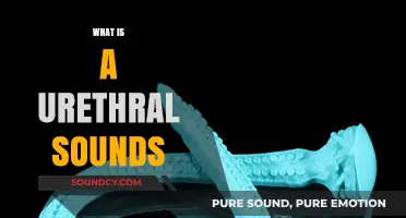 Understanding Urethral Sounds: A Comprehensive Guide to This Unique Practice