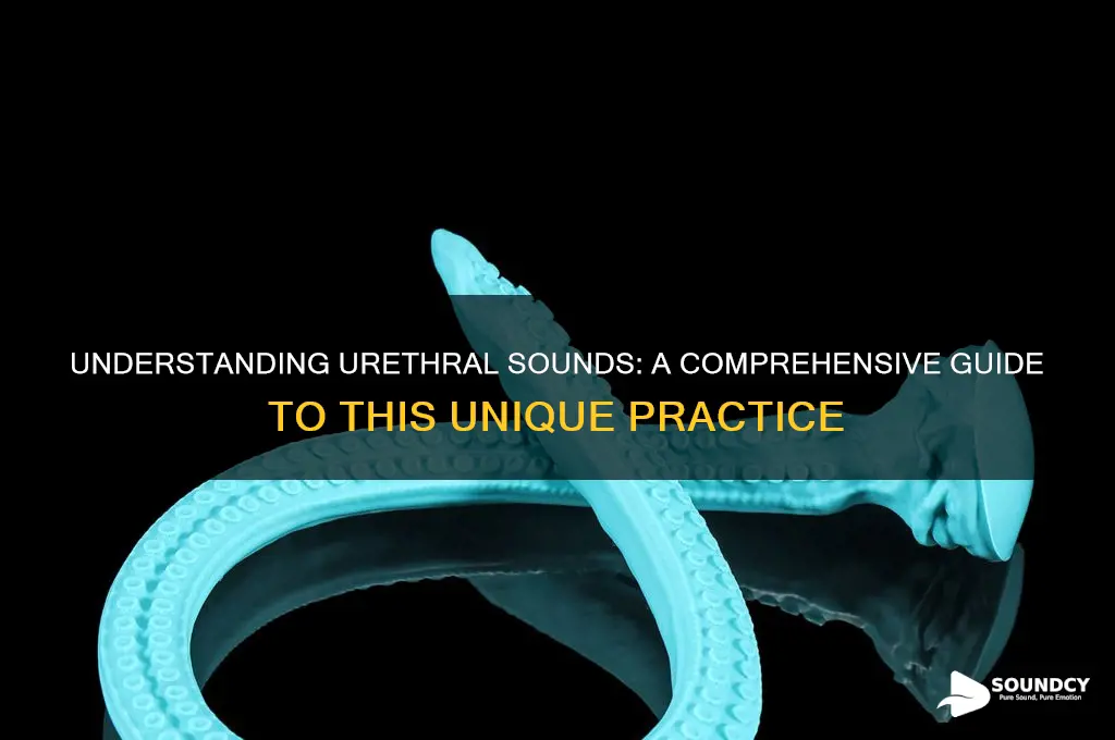 what is a urethral sounds