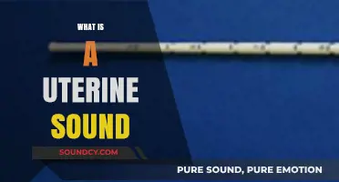 Understanding Uterine Sounds: Purpose, Procedure, and Medical Applications