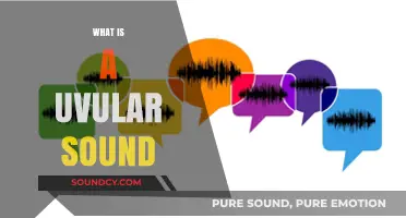 Unveiling the Mystery of Uvular Sounds in Human Speech