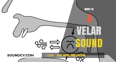 Understanding Velar Sounds: Definition, Examples, and Role in Speech