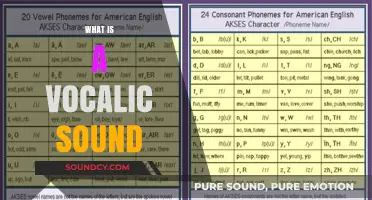Understanding Vocalic Sounds: Definition, Examples, and Role in Speech