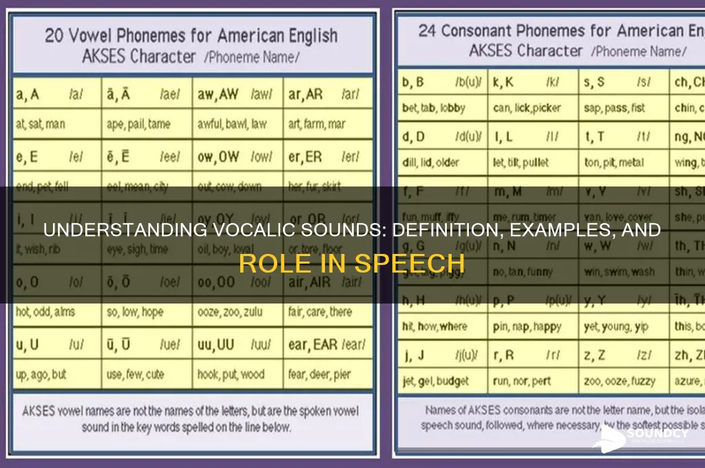 what is a vocalic sound