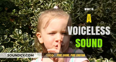 Understanding Voiceless Sounds: A Comprehensive Guide to Speech Production