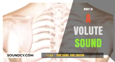 Understanding Volute Sounds: Causes, Characteristics, and Clinical Significance