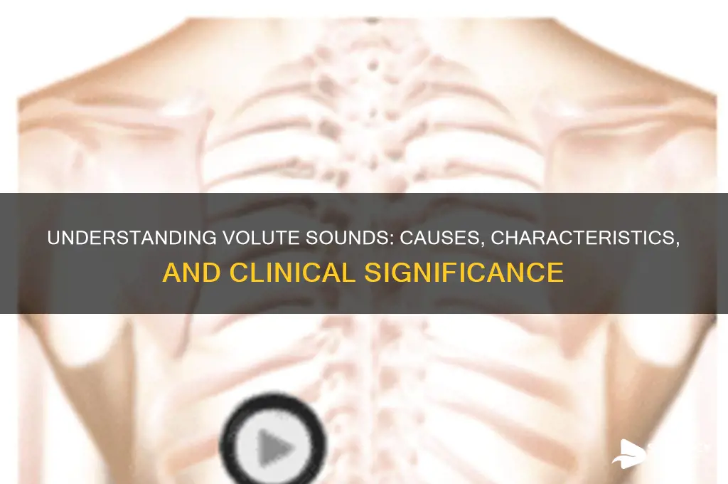 what is a volute sound