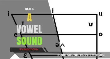 Understanding Vowel Sounds: A Comprehensive Guide to Pronunciation and Usage