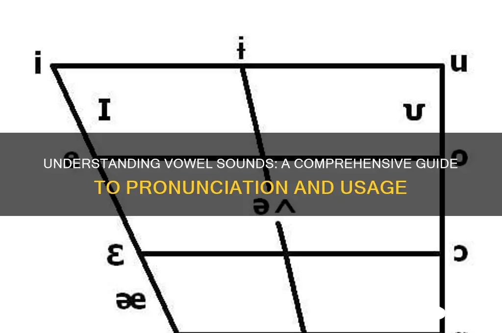 what is a vowel sound