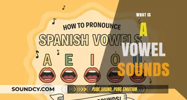 Understanding Vowel Sounds: A Comprehensive Guide to Pronunciation and Usage