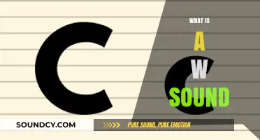 Understanding the W Sound: Phonetics, Pronunciation, and Common Uses